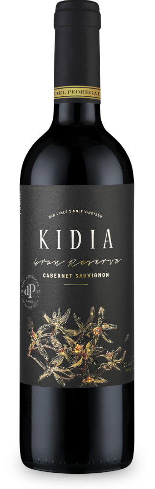 Kidia
