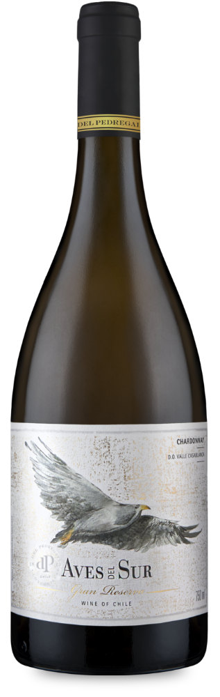botella