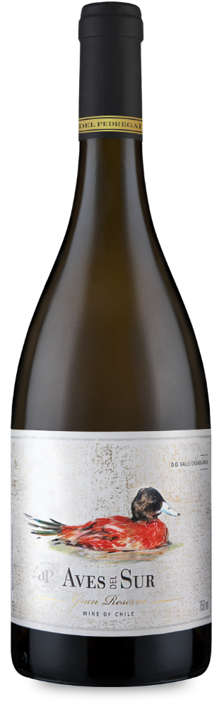 botella