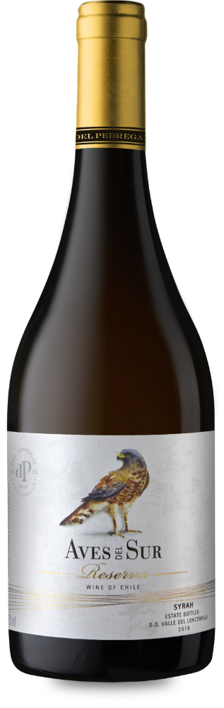botella