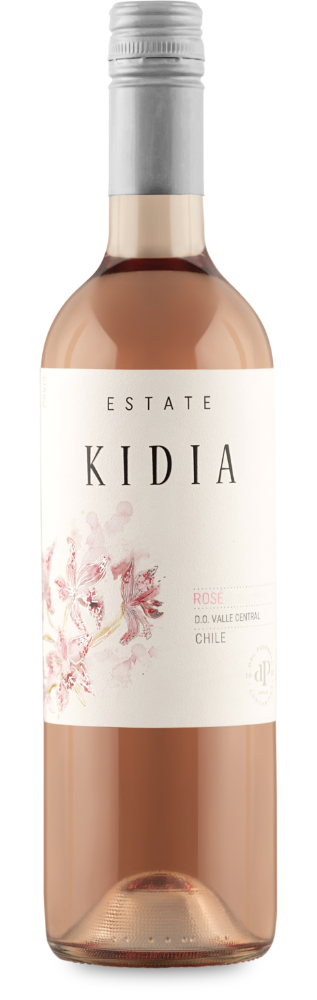 botella