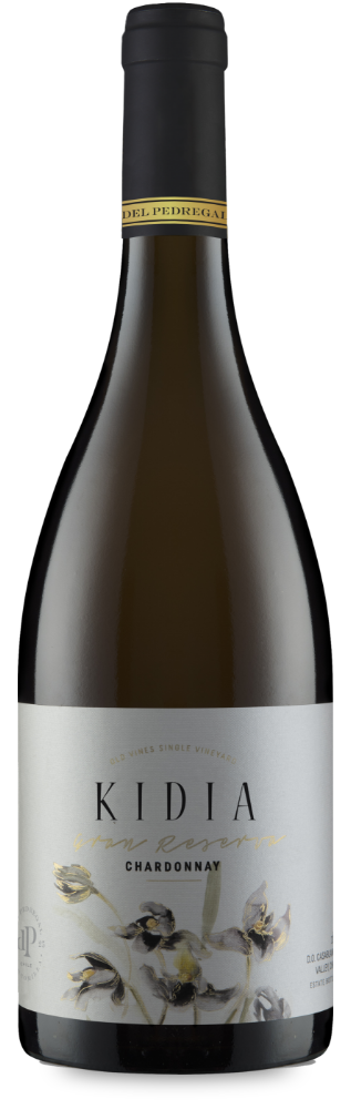 botella