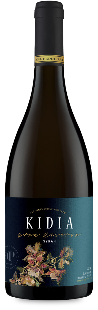 botella