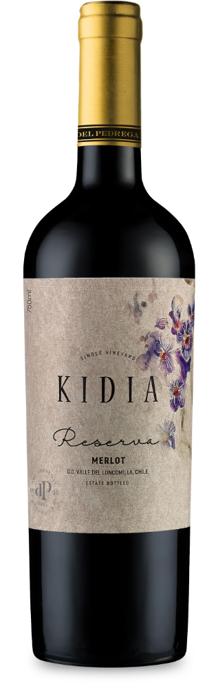 botella