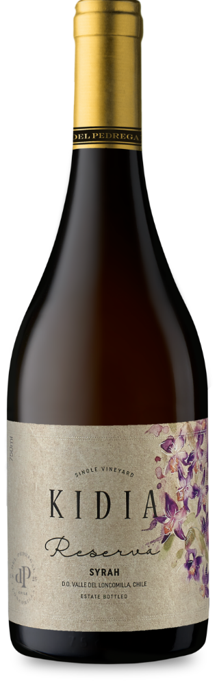 botella
